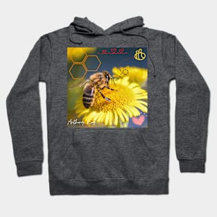 Nectar's Journey Hoodie